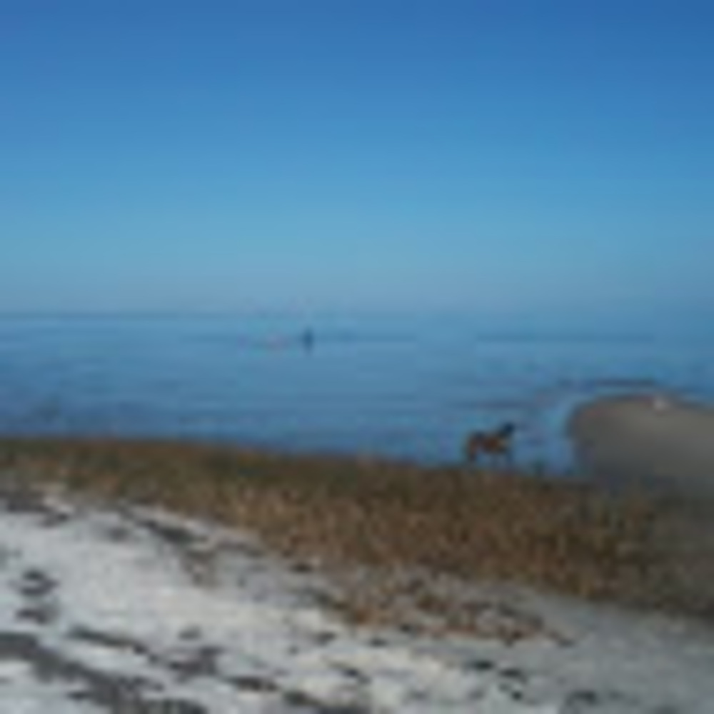 Meet your Posher, Nobledane